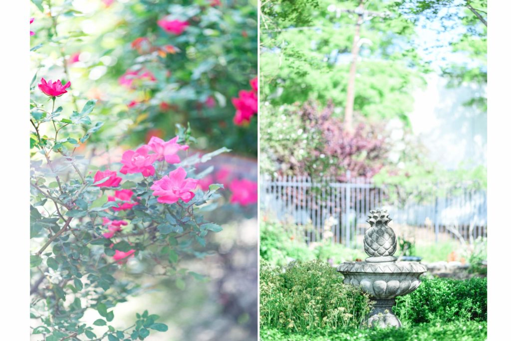McGill Rose Garden details and artwork